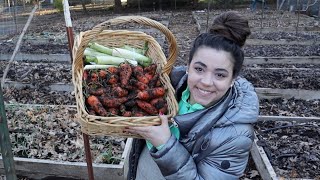 First Garden Tour and Harvest of 2022! Abundantly Blessed!