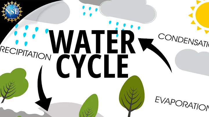 Water Cycle | How the Hydrologic Cycle Works - DayDayNews