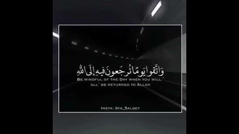 {وَاتَّقُوا يَوْمًا تُرْجَعُونَ فِيهِ إِلَى اللَّهِ ۖ} تلاوة خاشعة يخشع لها القلب من سورة البقرة 🤍.