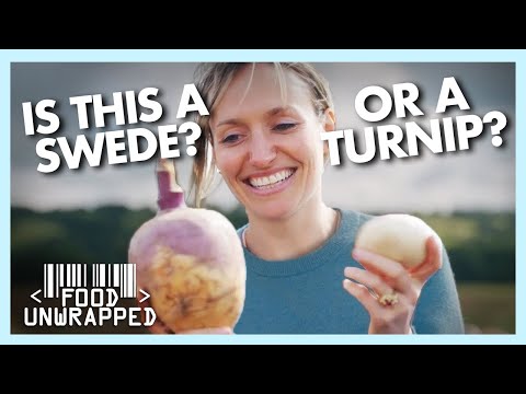 تصویری: آیا سوئد براسیکا است؟