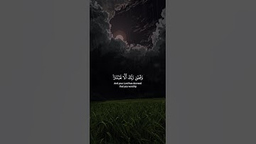 اكتب شيء تؤجر عليه 😴💚 قران كريم | ياسر الدوسري