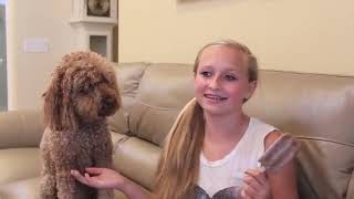 What Jenna Does When Shes Bored