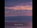 فـ يـقـول الـلـه صـدقـت كـلام مـريـح لـلـقـلـب