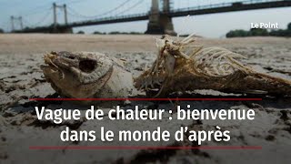 Vague de chaleur : bienvenue dans le monde d’après