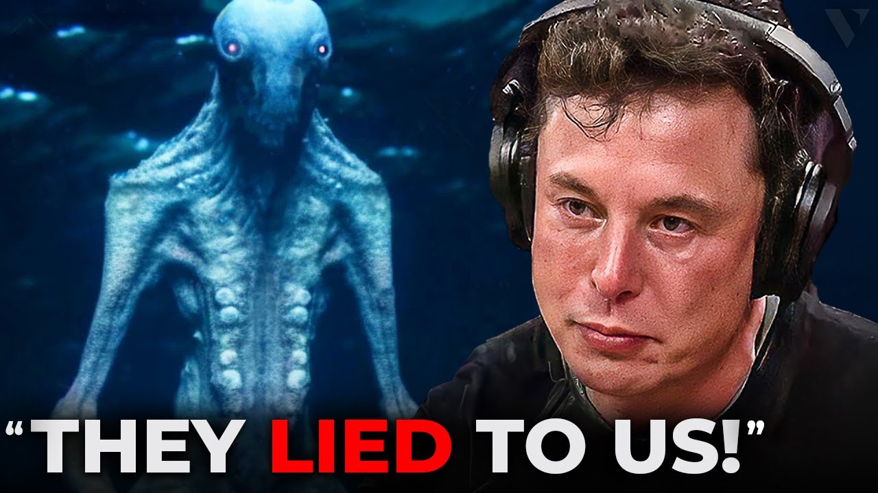 Elon Musk Tells Us What The Navy Saw While Diving in the Ocean - YouTube