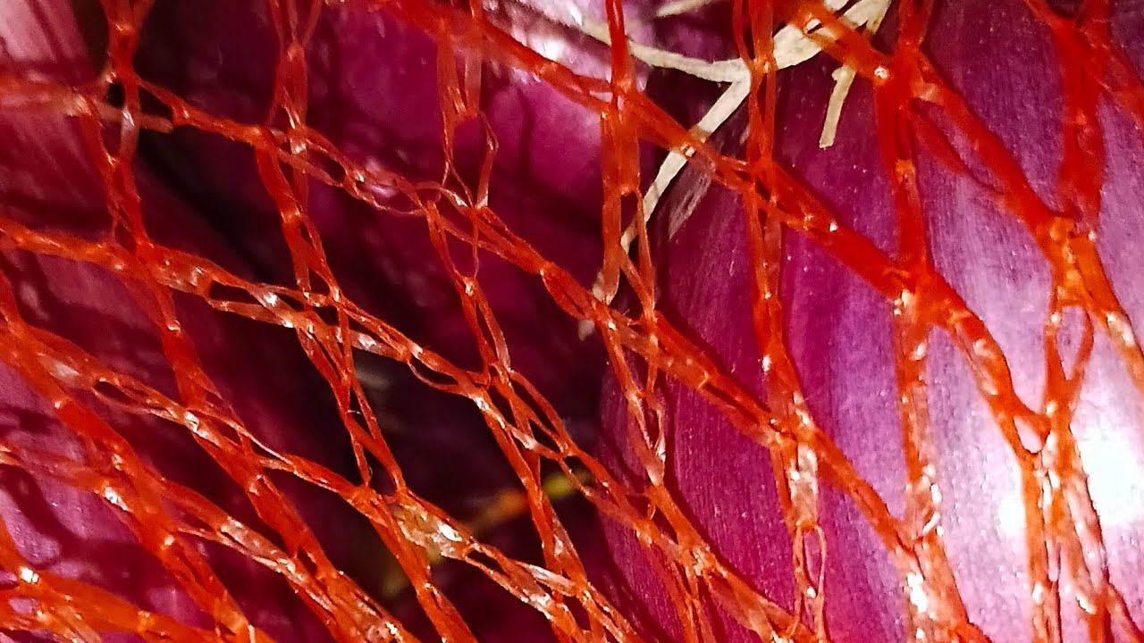 बताओ सर्दियो मै भी प्याज का रेट कितना बडा है