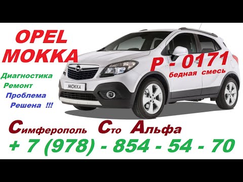 Ошибка P 0171 Opel Mokka Проблема Решена ! Дымо-генератор , Компьютерная диагностика , замена насоса