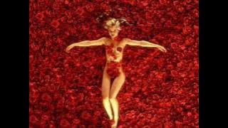 American Beauty Soundtrack (American Beauty)