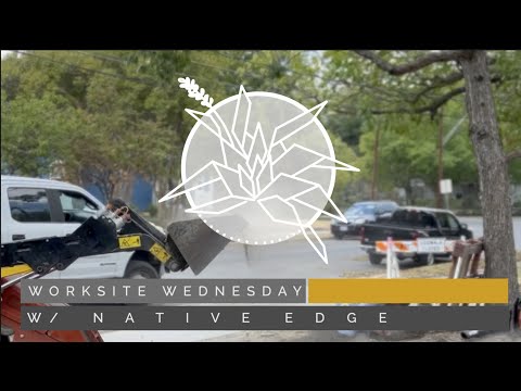 Video: High Traffic Landscaping Alternativ till gräs - barnvänliga gräsmattor