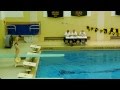 2015 - Maria Lohman - WPIAL Diving Championships