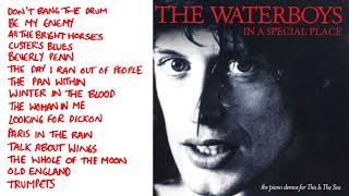 THE WATERBOYS • In a Special Place 🎵 The PIANO DEMOS For THIS IS THE SEA 🎵 Full Album HQ AUDIO