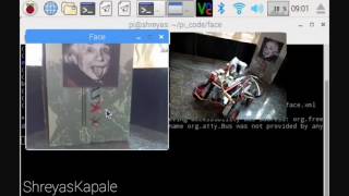 Raspberry pi bot Alpha evo
