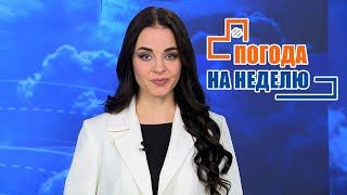 Потепление до +4! Погода на неделю | Прогноз погоды с 12 по 18 декабря 2022 | Плюс-минус