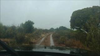 Ruta 4x4 Montes de Toledo. Robledo del Buey.