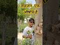 सहजन में बहुत से गुण है #song #farming #nature