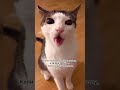 Спокій разом з Вайз Груп😎