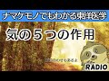 【はじめてでもわかる東洋医学】気の５つの作用について（気化・温煦・固摂・防御・推動）【音声解説RADIO】