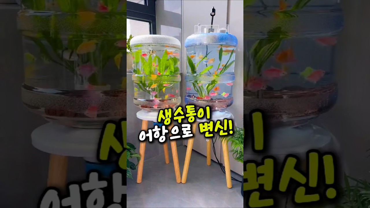 물고기 입문자에게 딱｜미니 어항 키트