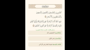 القارئ عبدالإله العجيري @