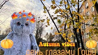 День глазами Басика! 1 ноября 🍁🍂