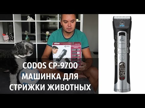 VLOG: Купили машинку для стрижки животных Codos CP-9700 /Обзор
