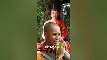 Những Lời Chia Sẻ Của Sư Thích Minh Tuệ - Phần 14 | Tư Duy Tích Cực #shorts