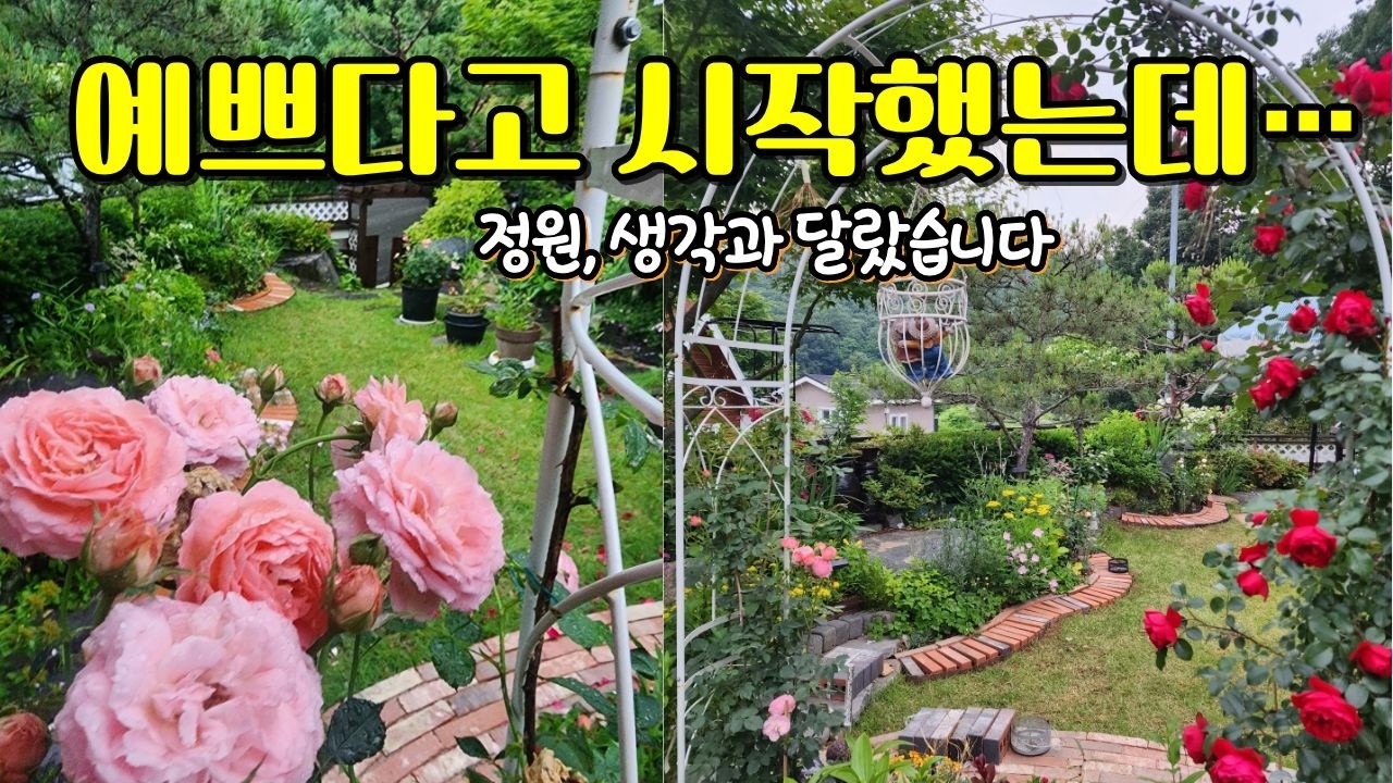 예쁘다고 시작했는데… 정원, 이렇게 됩니다 🌿 생각과 달랐습니다