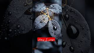 مومن کی پہچان کیا ہے؟ #quranshorts #quranrecitation #dailyquran #love #islamicreminders #statusquote