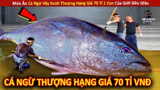 Món Ăn Cá Ngừ Vây Xanh Thượng Hạng Giá 70 Tỉ 1 Con Của Giới Siêu GIàu || Review Giải Trí Đời Sống