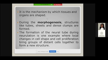 lecture #1 part 5 MORPHOGENESIS