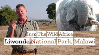 Into the Wild Africa: Liwonde National Park (Malawi)