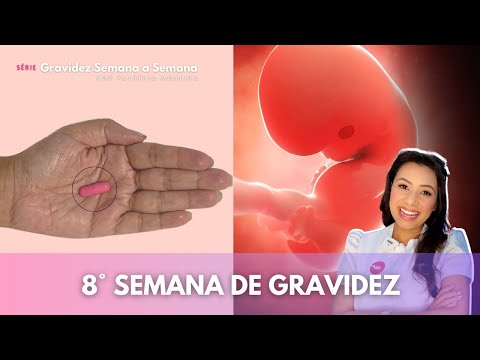 Vídeo: 8 semanas de desenvolvimento do bebê