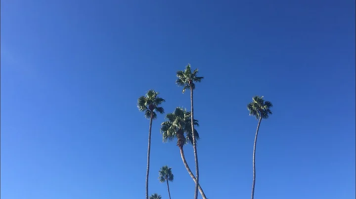 California Vlog 2018-2019