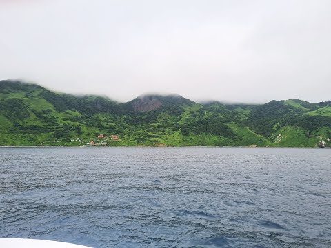 Погружения с Сивучами. Остров Монерон.    Diving with Sea lions. Moneron island.