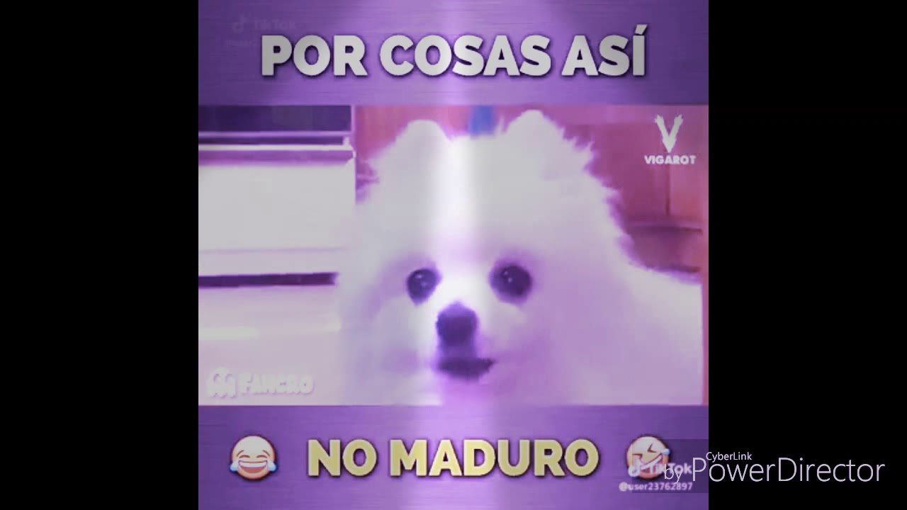 por cosas así no maduro - YouTube