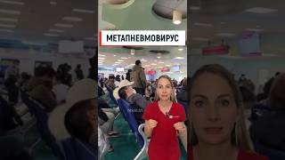 Метапневмовирус