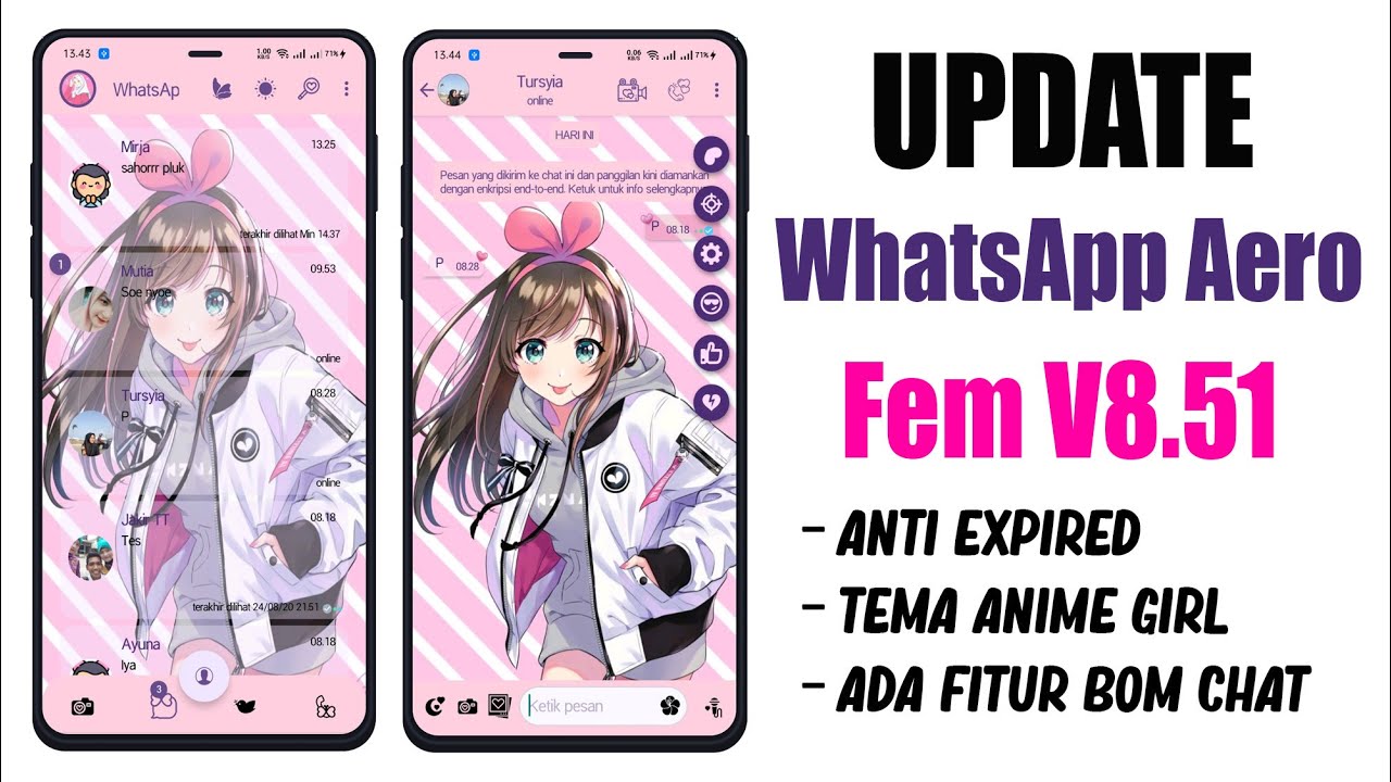 UPDATE!! WhatsApp Aero Fem v8.51 Full Fitur - Tema Anime Girl
