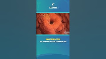 [IVF Hà Nội] Hành trình kỳ diệu - Thai nhi vào tổ an toàn sau chuyển phôi