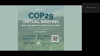 COP29 virtual briefing: What you need to know about COP29
