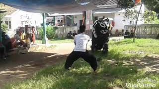 Pencak Silat Vs Can Macanan