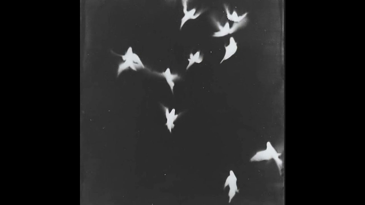 [FREE] SZA X KENDRICK LAMAR TYPE BEAT "DOVES"