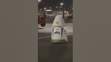 #shorts #fyp #lowes #robot south Philly Lowes there security robot 😂