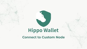 Hippo Wallet Connect to Node Feature