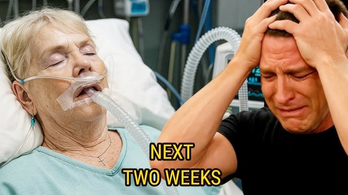 General Hospital Spoilers Next 2 Week October 13 - October 124, 2025 | GH Spoilers Next 2 Week - YouTube