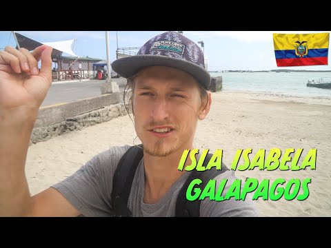 Off to Galapagos most beautiful Island Isla Isabela