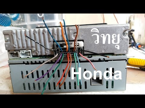 เล่าสู่กันฟัง | ปลั๊กหลังวิทยุ Honda ต่อยังไง ซื้อได้ที่ไหน