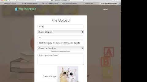 SFU backpack DEMO Shiva 2
