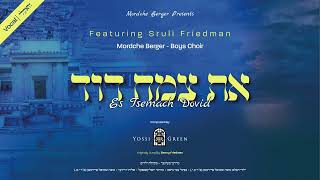שרולי פרידמן & מרדכי ברגר - את צמח דוד