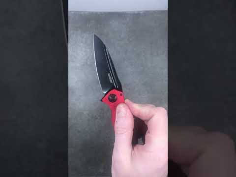Kershaw Knives Mini Natrix Action