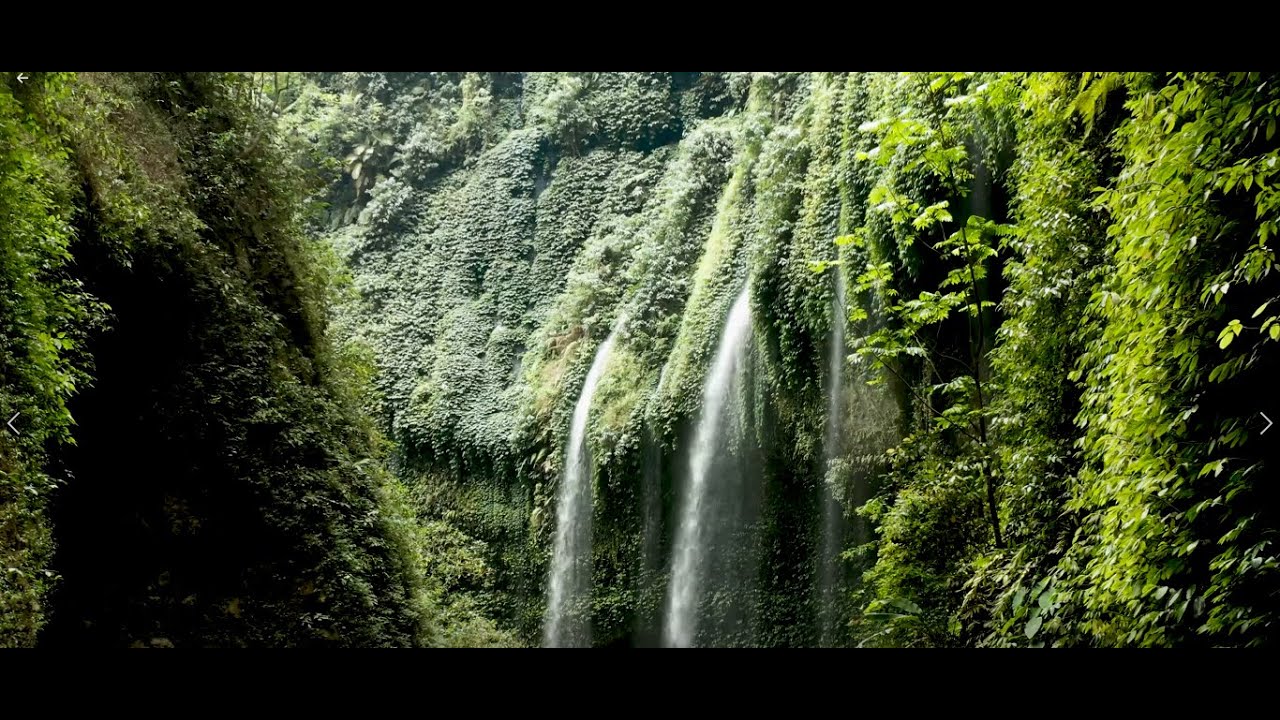 Beautiful Nature Scenery Relaxing Peaceful Soothing Music | Bird Sounds, Water Sound, Sleep Music